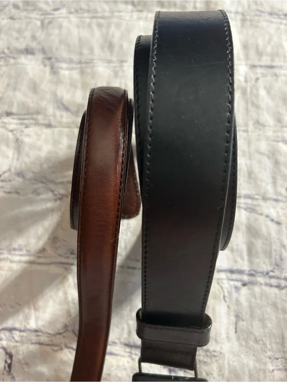 N/A fossil thin